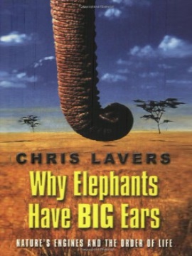'Why Elephants Have Big Ears' by Chris Lavers